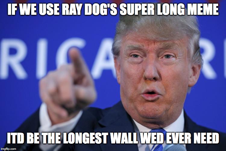 ray dog...... | IF WE USE RAY DOG'S SUPER LONG MEME; ITD BE THE LONGEST WALL WED EVER NEED | image tagged in i will build a wall,memes | made w/ Imgflip meme maker
