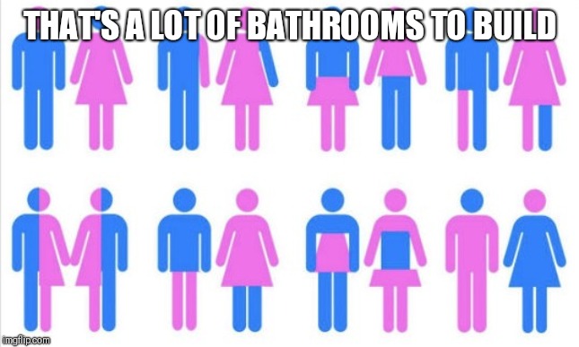 Gender chart 58 genders | THAT'S A LOT OF BATHROOMS TO BUILD | image tagged in gender chart 58 genders | made w/ Imgflip meme maker