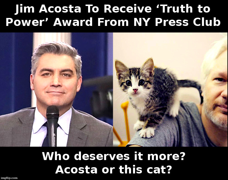 Truth To Power? | image tagged in jim acosta,julian assange,cat | made w/ Imgflip meme maker