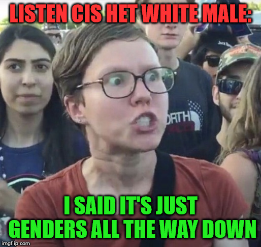 Triggered feminist | LISTEN CIS HET WHITE MALE:; I SAID IT'S JUST GENDERS ALL THE WAY DOWN | image tagged in triggered feminist | made w/ Imgflip meme maker