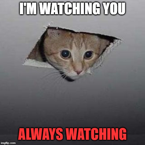 Ceiling Cat Meme | I'M WATCHING YOU; ALWAYS WATCHING | image tagged in memes,ceiling cat | made w/ Imgflip meme maker