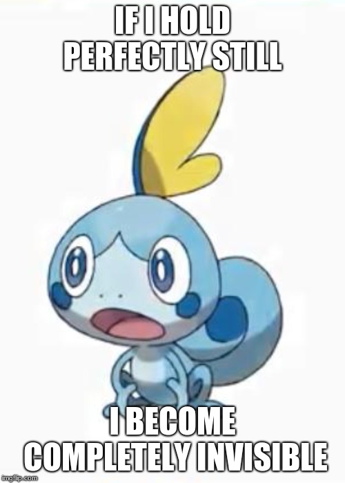 Suprised Sobble | IF I HOLD PERFECTLY STILL; I BECOME COMPLETELY INVISIBLE | image tagged in suprised sobble | made w/ Imgflip meme maker