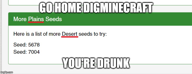 GO HOME DIGMINECRAFT; YOU'RE DRUNK | image tagged in minecraft | made w/ Imgflip meme maker