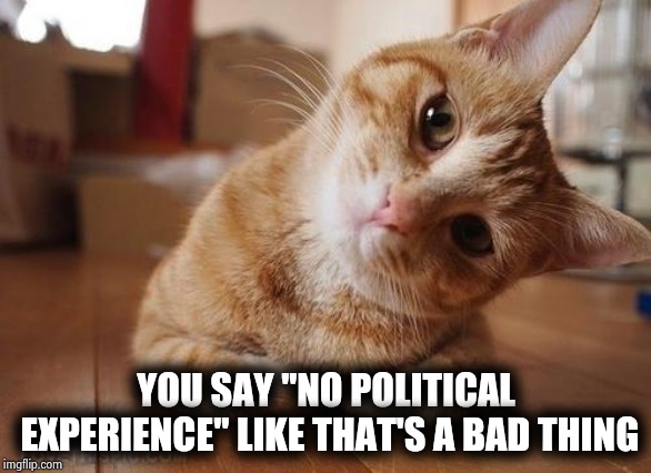 Curious Question Cat | YOU SAY "NO POLITICAL EXPERIENCE" LIKE THAT'S A BAD THING | image tagged in curious question cat | made w/ Imgflip meme maker