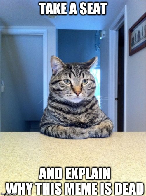 Take A Seat Cat Meme | TAKE A SEAT; AND EXPLAIN WHY THIS MEME IS DEAD | image tagged in memes,take a seat cat | made w/ Imgflip meme maker