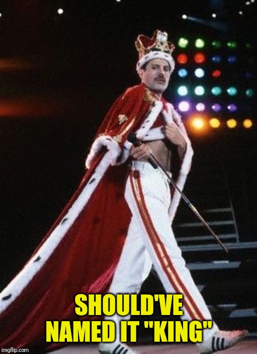 Freddie Mercury King | SHOULD'VE NAMED IT "KING" | image tagged in freddie mercury king | made w/ Imgflip meme maker