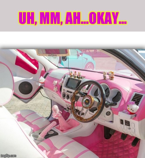 So Grandma knit you a cover for you parking brake? | UH, MM, AH...OKAY... | image tagged in wtf,car | made w/ Imgflip meme maker