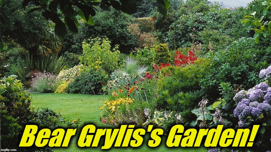 Bear Grylis's Garden! | made w/ Imgflip meme maker