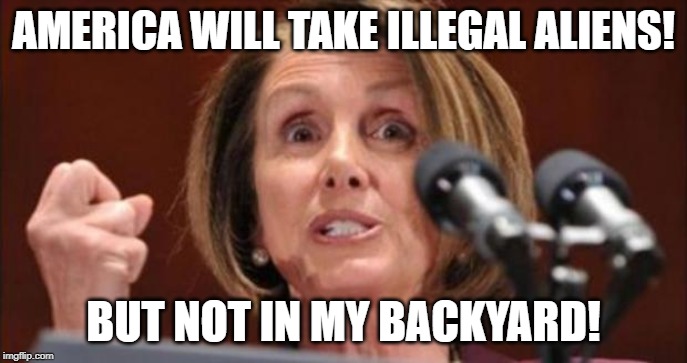 NIMBY | AMERICA WILL TAKE ILLEGAL ALIENS! BUT NOT IN MY BACKYARD! | image tagged in crazy pelosi,nimby,illegal immigration,illegal aliens,sanctuary cities | made w/ Imgflip meme maker
