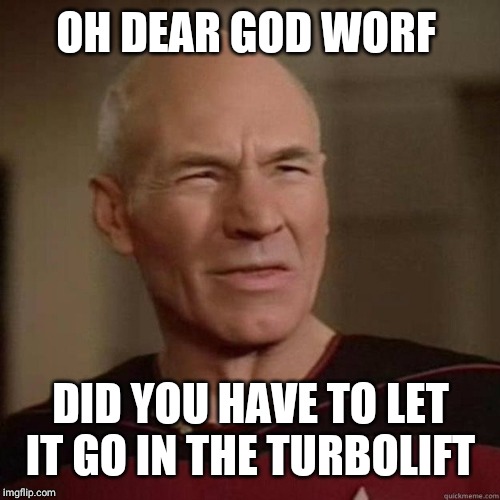 Picard disgusted | OH DEAR GOD WORF DID YOU HAVE TO LET IT GO IN THE TURBOLIFT | image tagged in picard disgusted | made w/ Imgflip meme maker