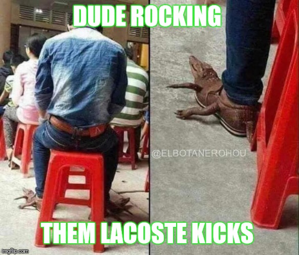 High Fashion | DUDE ROCKING; THEM LACOSTE KICKS | image tagged in lacoste,shoes,breakfast | made w/ Imgflip meme maker