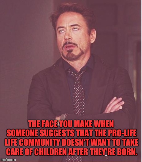 Face You Make Robert Downey Jr | THE FACE YOU MAKE WHEN SOMEONE SUGGESTS THAT THE PRO-LIFE LIFE COMMUNITY DOESN'T WANT TO TAKE CARE OF CHILDREN AFTER THEY'RE BORN. | image tagged in memes,face you make robert downey jr | made w/ Imgflip meme maker