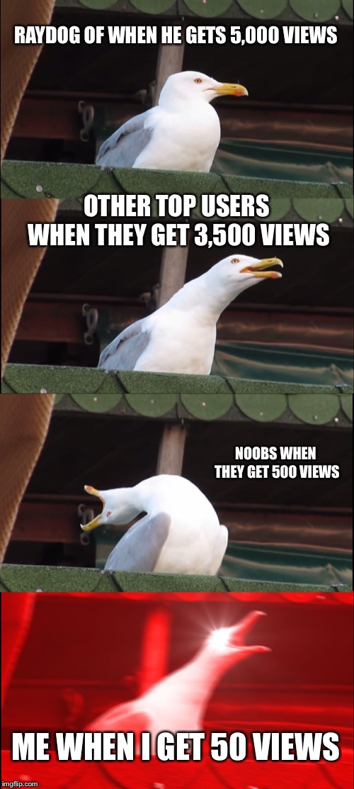 I get very few views... | RAYDOG OF WHEN HE GETS 5,000 VIEWS; OTHER TOP USERS WHEN THEY GET 3,500 VIEWS; NOOBS WHEN THEY GET 500 VIEWS; ME WHEN I GET 50 VIEWS | image tagged in memes,inhaling seagull,very funny,no views,no friends | made w/ Imgflip meme maker