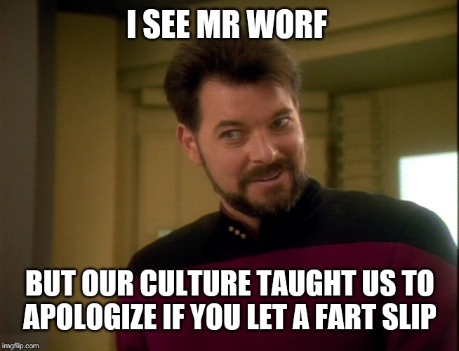 Riker Lets Start Some Trouble | I SEE MR WORF BUT OUR CULTURE TAUGHT US TO APOLOGIZE IF YOU LET A FART SLIP | image tagged in riker lets start some trouble | made w/ Imgflip meme maker