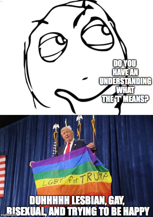 DO YOU HAVE AN UNDERSTANDING WHAT THE 'T' MEANS? DUHHHHH LESBIAN, GAY, BISEXUAL, AND TRYING TO BE HAPPY | image tagged in memes,question rage face,trump lgbt | made w/ Imgflip meme maker