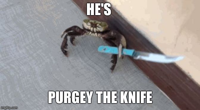 Knife wielding crab | HE'S PURGEY THE KNIFE | image tagged in knife wielding crab | made w/ Imgflip meme maker