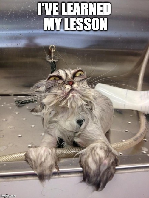 Angry Wet Cat | I'VE LEARNED MY LESSON | image tagged in angry wet cat | made w/ Imgflip meme maker