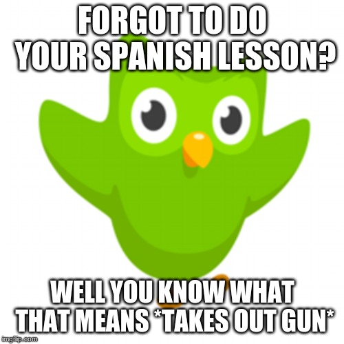 What happens when you don't do you Spanish lesson. | FORGOT TO DO YOUR SPANISH LESSON? WELL YOU KNOW WHAT THAT MEANS
*TAKES OUT GUN* | image tagged in duolingo | made w/ Imgflip meme maker