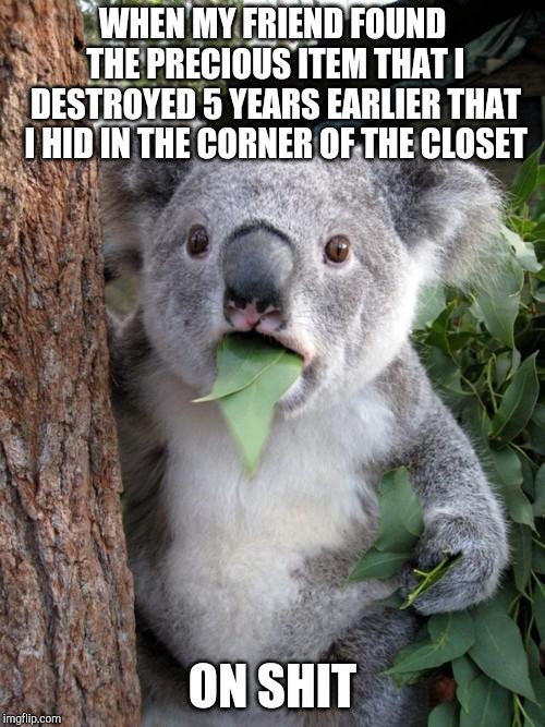 Surprised Koala Meme | WHEN MY FRIEND FOUND THE PRECIOUS ITEM THAT I DESTROYED 5 YEARS EARLIER THAT I HID IN THE CORNER OF THE CLOSET; ON SHIT | image tagged in memes,surprised koala | made w/ Imgflip meme maker