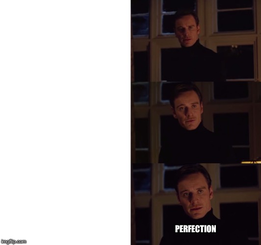 perfection | PERFECTION | image tagged in perfection | made w/ Imgflip meme maker