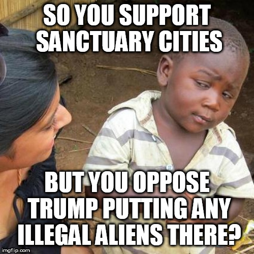 Third World Skeptical Kid | SO YOU SUPPORT SANCTUARY CITIES; BUT YOU OPPOSE TRUMP PUTTING ANY ILLEGAL ALIENS THERE? | image tagged in memes,third world skeptical kid | made w/ Imgflip meme maker