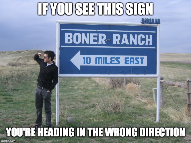 Funny Sign | IF YOU SEE THIS SIGN; YOU'RE HEADING IN THE WRONG DIRECTION | image tagged in funny road signs,memes,prostitution | made w/ Imgflip meme maker