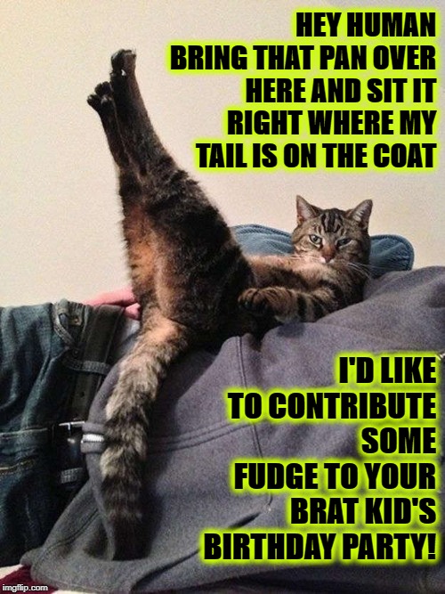 HEY HUMAN BRING THAT PAN OVER HERE AND SIT IT RIGHT WHERE MY TAIL IS ON THE COAT; I'D LIKE TO CONTRIBUTE SOME FUDGE TO YOUR BRAT KID'S BIRTHDAY PARTY! | image tagged in your brat kid | made w/ Imgflip meme maker