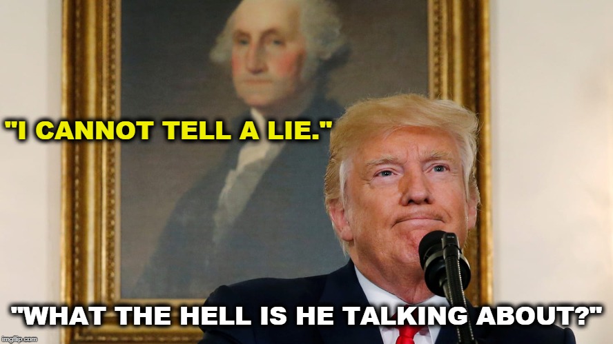"I CANNOT TELL A LIE."; "WHAT THE HELL IS HE TALKING ABOUT?" | image tagged in washington,trump,lie | made w/ Imgflip meme maker
