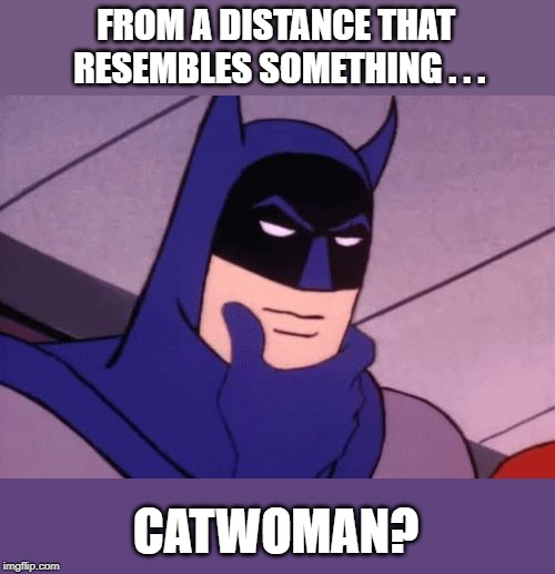 Batman Pondering | FROM A DISTANCE THAT RESEMBLES SOMETHING . . . CATWOMAN? | image tagged in batman pondering | made w/ Imgflip meme maker