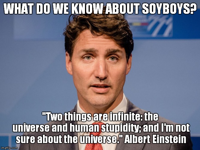 The science of soy boys | WHAT DO WE KNOW ABOUT SOYBOYS? "Two things are infinite: the universe and human stupidity; and I'm not sure about the universe." Albert Einstein | image tagged in soy boy,trudeau | made w/ Imgflip meme maker