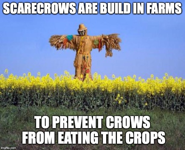 Scarecrow | SCARECROWS ARE BUILD IN FARMS; TO PREVENT CROWS FROM EATING THE CROPS | image tagged in scarecrow,memes | made w/ Imgflip meme maker