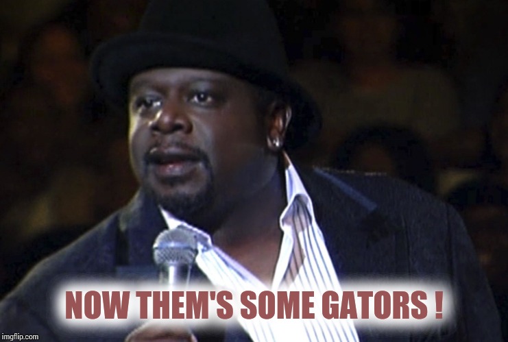 Cedric the Entertainer Hockey | NOW THEM'S SOME GATORS ! | image tagged in cedric the entertainer hockey | made w/ Imgflip meme maker