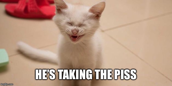 Cat Laughing | HE’S TAKING THE PISS | image tagged in cat laughing | made w/ Imgflip meme maker