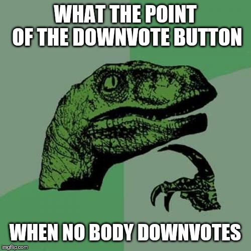 Philosoraptor | WHAT THE POINT OF THE DOWNVOTE BUTTON; WHEN NO BODY DOWNVOTES | image tagged in memes,philosoraptor | made w/ Imgflip meme maker