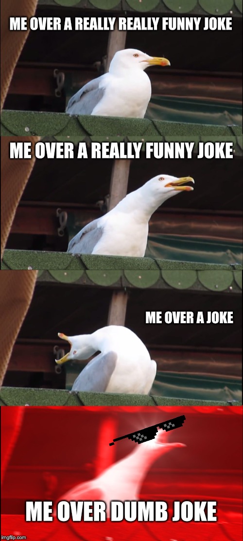Inhaling Seagull | ME OVER A REALLY REALLY FUNNY JOKE; ME OVER A REALLY FUNNY JOKE; ME OVER A JOKE; ME OVER DUMB JOKE | image tagged in memes,inhaling seagull | made w/ Imgflip meme maker