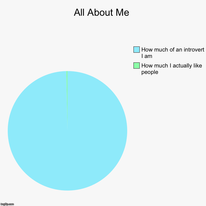 All About Me | How much I actually like people, How much of an introvert I am | image tagged in charts,pie charts | made w/ Imgflip chart maker
