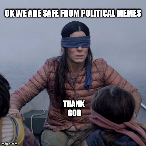 Bird Box Meme | OK WE ARE SAFE FROM POLITICAL MEMES; THANK GOD | image tagged in memes,bird box | made w/ Imgflip meme maker