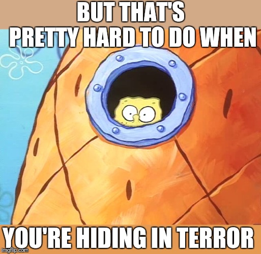 Spongebob Peek Window | BUT THAT'S PRETTY HARD TO DO WHEN YOU'RE HIDING IN TERROR | image tagged in spongebob peek window | made w/ Imgflip meme maker
