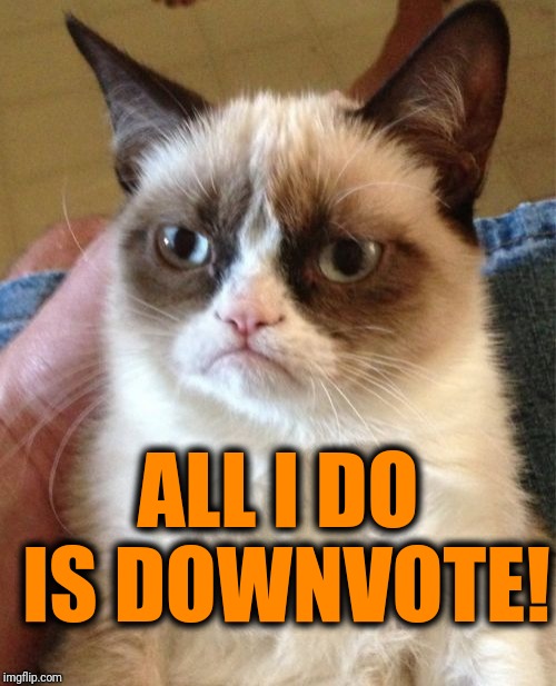 Grumpy Cat Meme | ALL I DO IS DOWNVOTE! | image tagged in memes,grumpy cat | made w/ Imgflip meme maker