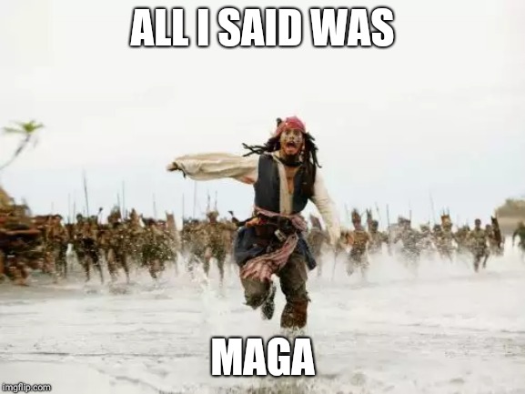 Jack Sparrow Being Chased | ALL I SAID WAS; MAGA | image tagged in memes,jack sparrow being chased | made w/ Imgflip meme maker