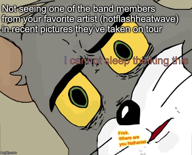 ?....? | Not seeing one of the band members from your favorite artist (hotflashheatwave) in recent pictures they’ve taken on tour; I cannot sleep thinking this; Frick. Where are you Nathaniel | image tagged in memes,unsettled tom | made w/ Imgflip meme maker