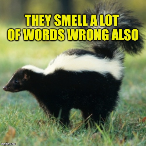 Skunk | THEY SMELL A LOT OF WORDS WRONG ALSO | image tagged in skunk | made w/ Imgflip meme maker