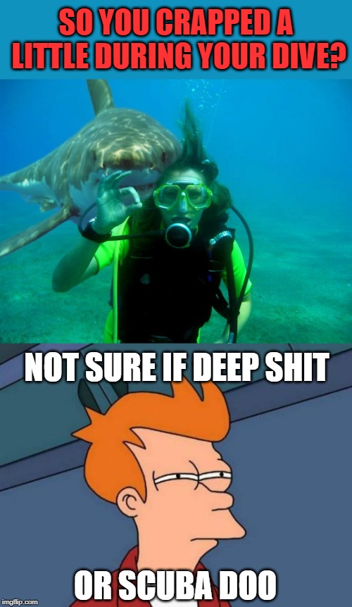 How many names for an underwater accident? | SO YOU CRAPPED A LITTLE DURING YOUR DIVE? NOT SURE IF DEEP SHIT; OR SCUBA DOO | image tagged in memes,futurama fry,scuba diving,poop | made w/ Imgflip meme maker
