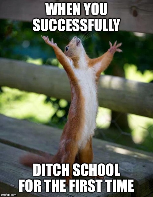 Happy Squirrel | WHEN YOU SUCCESSFULLY; DITCH SCHOOL FOR THE FIRST TIME | image tagged in happy squirrel | made w/ Imgflip meme maker