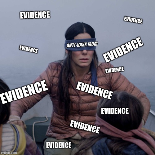 Bird Box Meme | EVIDENCE; EVIDENCE; ANTI-VAXX MOM; EVIDENCE; EVIDENCE; EVIDENCE; EVIDENCE; EVIDENCE; EVIDENCE; EVIDENCE; EVIDENCE | image tagged in memes,bird box | made w/ Imgflip meme maker