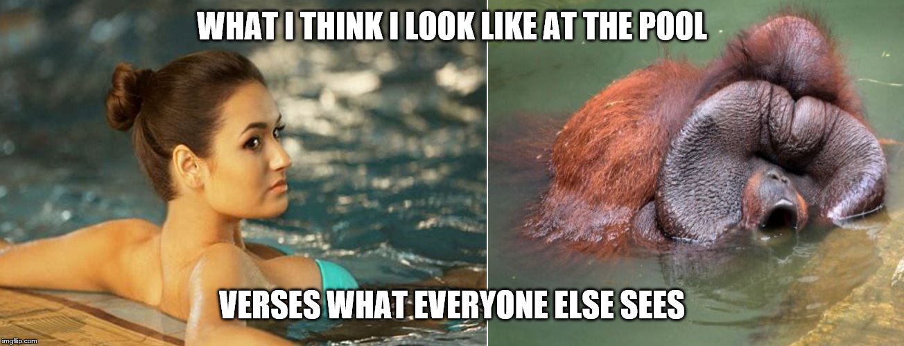 Reality Check | WHAT I THINK I LOOK LIKE AT THE POOL; VERSES WHAT EVERYONE ELSE SEES | image tagged in reality check,expectation vs reality | made w/ Imgflip meme maker