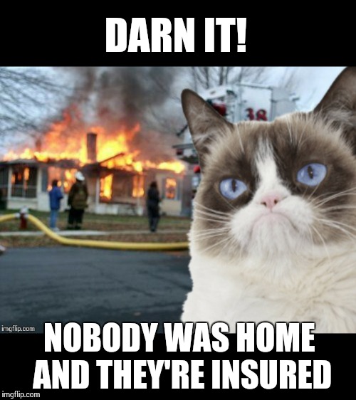 Grumpy Cat | DARN IT! NOBODY WAS HOME AND THEY'RE INSURED | image tagged in memes,grumpy cat | made w/ Imgflip meme maker