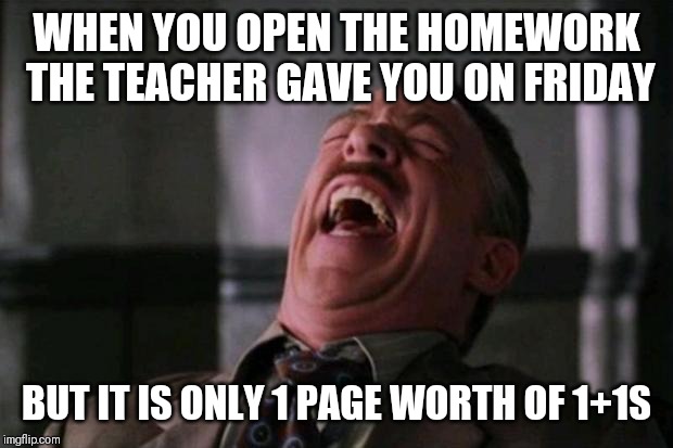 Stupid bitch | WHEN YOU OPEN THE HOMEWORK THE TEACHER GAVE YOU ON FRIDAY; BUT IT IS ONLY 1 PAGE WORTH OF 1+1S | image tagged in stupid bitch | made w/ Imgflip meme maker