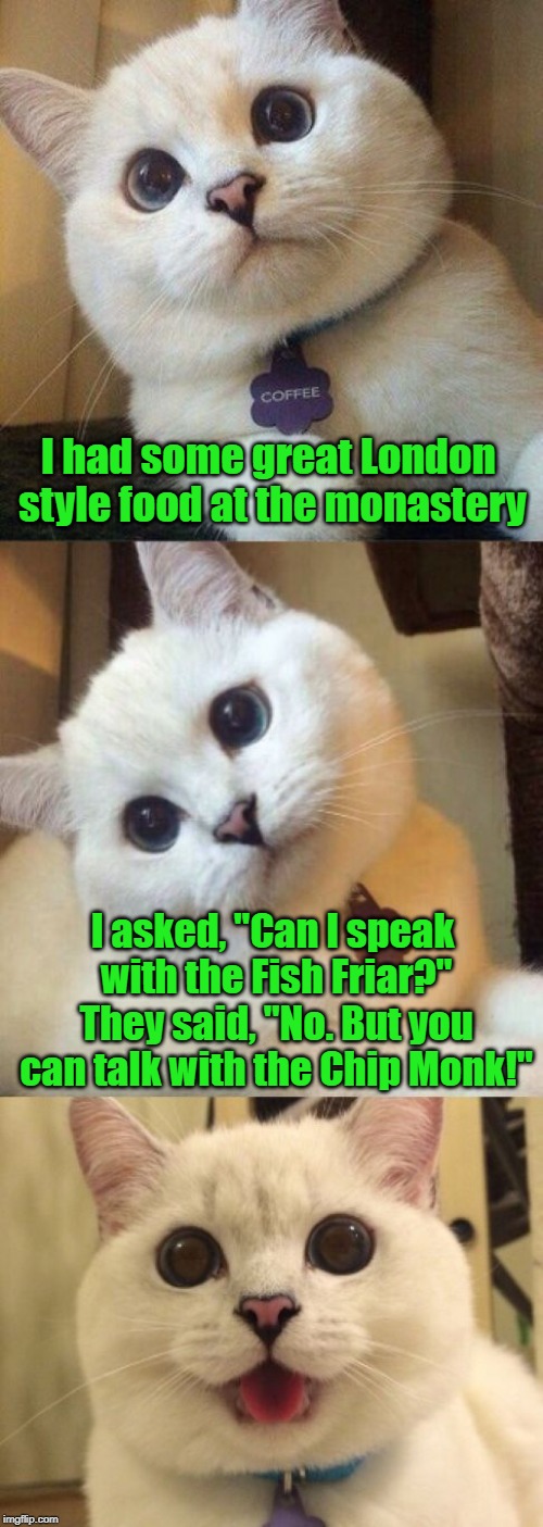 This joke is at least as old as I am | I had some great London style food at the monastery; I asked, "Can I speak with the Fish Friar?" They said, "No. But you can talk with the Chip Monk!" | image tagged in bad pun cat,memes,monk | made w/ Imgflip meme maker