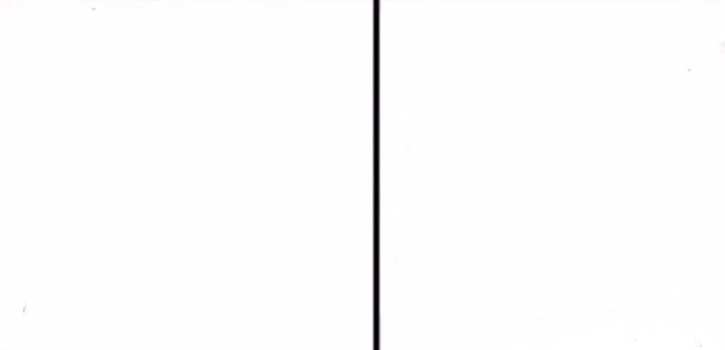 Nipsey Hussled More Than Trump Blank Meme Template